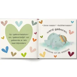 Babyboek