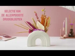 Bloomposy met Fijne Feestdagen Primera Keuze Cadeaukaart