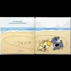 Boek