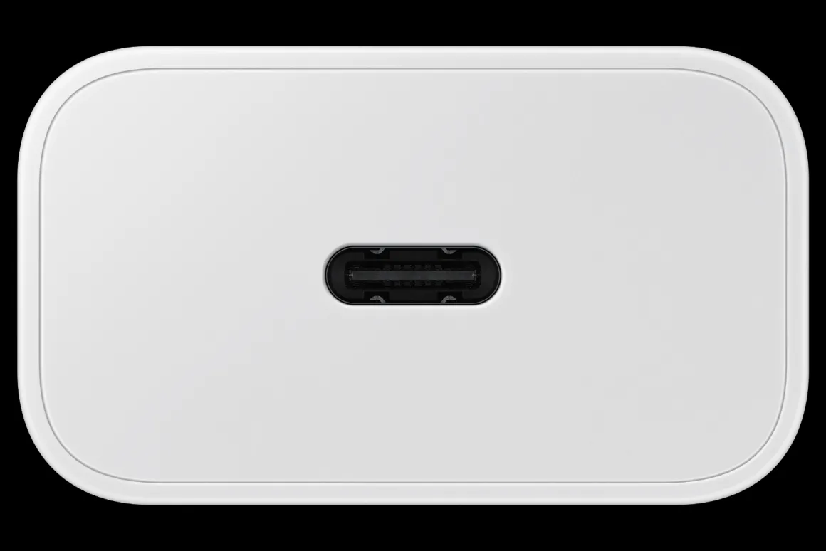 Samsung 25W Power Adapter White + Cable