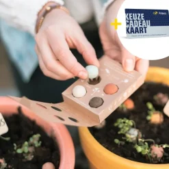 Zaaibommetjes goud waard met Fijne Feestdagen Primera Keuze Cadeaukaart