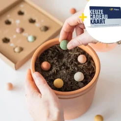 Zaaibommetjes met Ontzettend bedankt Primera Keuze Cadeaukaart